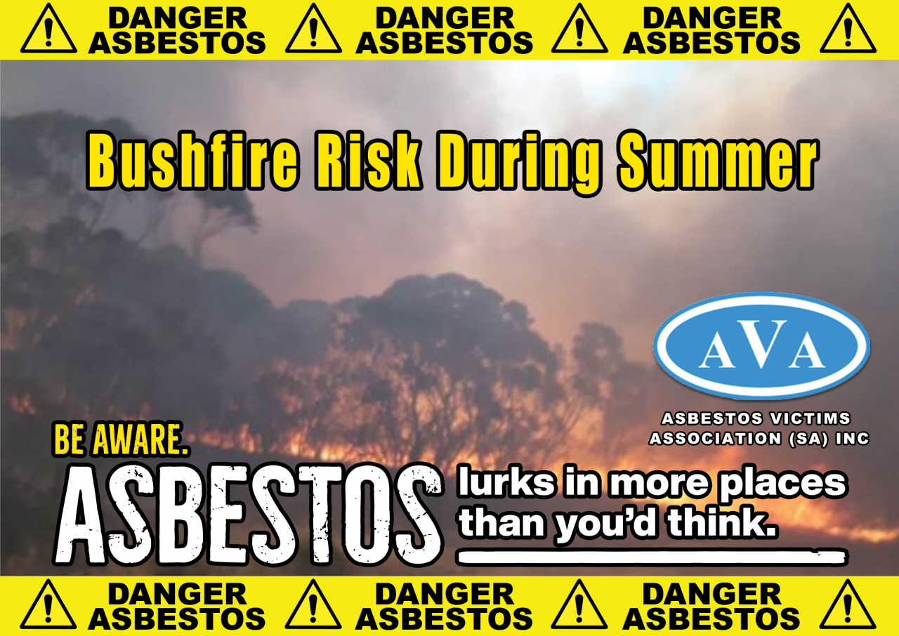 b2ap3_large_AVA-Asbestos-Bushfile-Risk